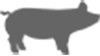 カット肉-menu-logo